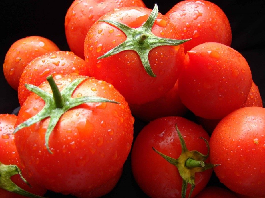 مصرف گوجه فرنگی گلخانه ای از ابتلا به دیابت جلوگیری می کند